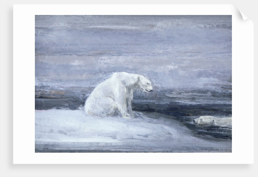 Polar Bears watching for Seals at an Ice Hole by John MacAllan Swan