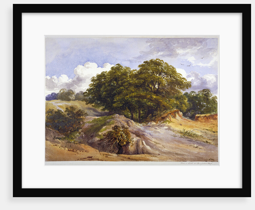 Hampstead Heath, London by Anonymous