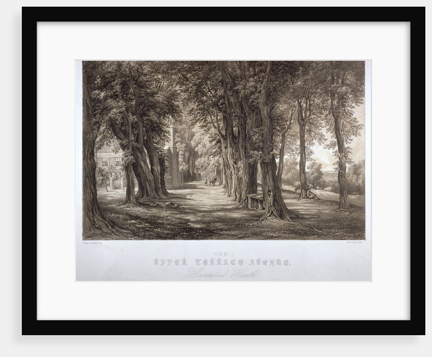 The Upper Terrace Avenue, Hampstead Heath, London by Paul Gauci