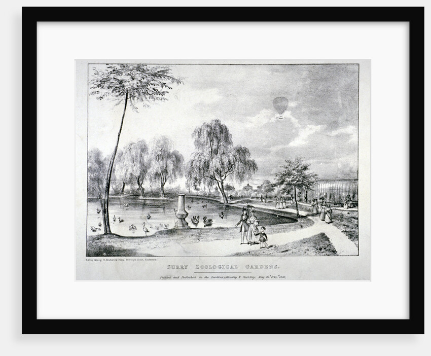 Surrey Zoological Gardens, Southwark, London by F Alvey