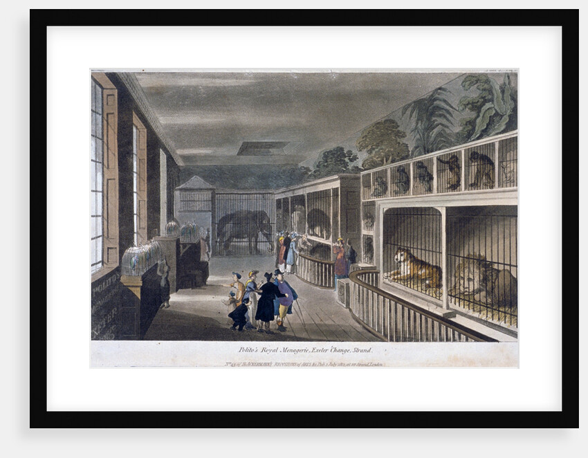 Exeter Change, Westminster by Anonymous