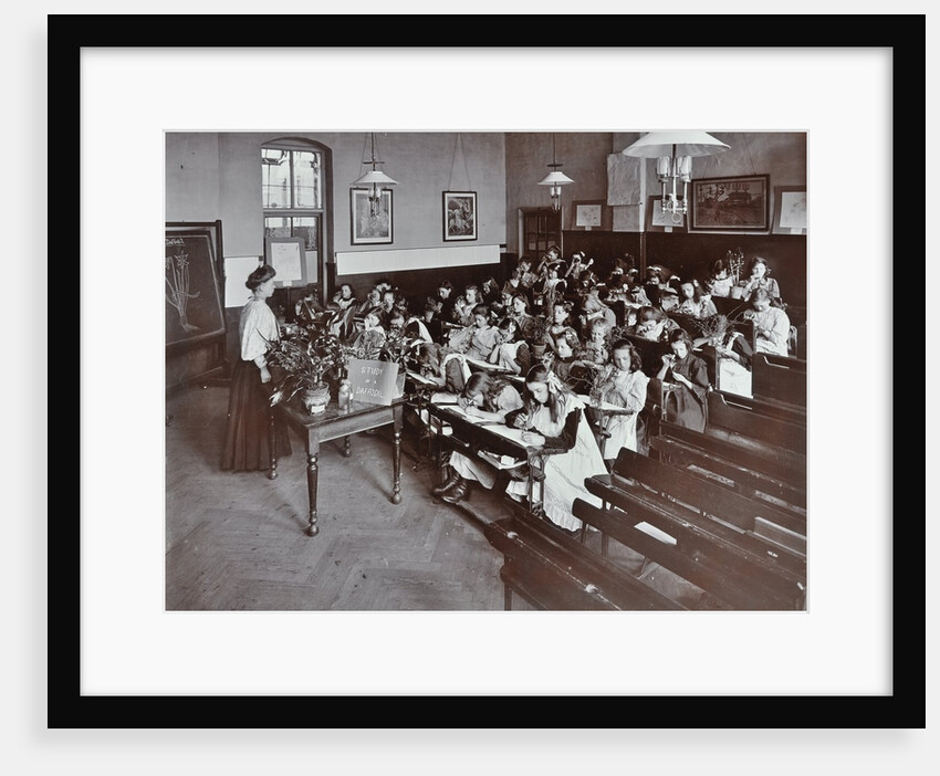 Nature lesson, Albion Street Girls School, Rotherhithe, London, 1908 by Unknown