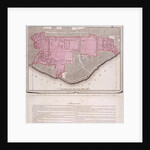 Plan for the proposed London Docks, Stepney by Anonymous