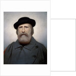 General Garibaldi by Felice Barucco