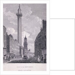 Monument, London by Philip Audinet