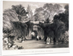 Zoological Gardens, Regent's Park, Marylebone, London by FW Hulme