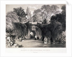 Zoological Gardens, Regent's Park, Marylebone, London by FW Hulme