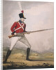 Military figure in the uniform of an unidentified volunteer regiment by Anonymous