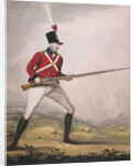 Military figure in the uniform of an unidentified volunteer regiment by Anonymous