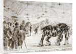 Meeting of the Shire Horse Society in Islington's Agricultural Hall, London by Frank Watkins