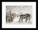 Meeting of the Shire Horse Society in Islington's Agricultural Hall, London by Frank Watkins
