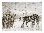 Meeting of the Shire Horse Society in Islington's Agricultural Hall, London by Frank Watkins