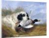Dog with Wild Duck by Richard Ansdell