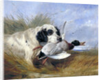 Dog with Wild Duck by Richard Ansdell