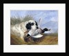 Dog with Wild Duck by Richard Ansdell