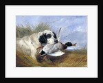 Dog with Wild Duck by Richard Ansdell