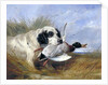 Dog with Wild Duck by Richard Ansdell