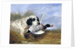 Dog with Wild Duck by Richard Ansdell