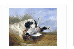 Dog with Wild Duck by Richard Ansdell