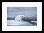 Polar Bears watching for Seals at an Ice Hole by John MacAllan Swan