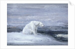 Polar Bears watching for Seals at an Ice Hole by John MacAllan Swan