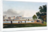 Green Park, Westminster, London by Anonymous