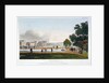 Green Park, Westminster, London by Anonymous