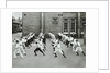 Exercise drill, Crawford Street School, Camberwell, London, 1906 by Unknown