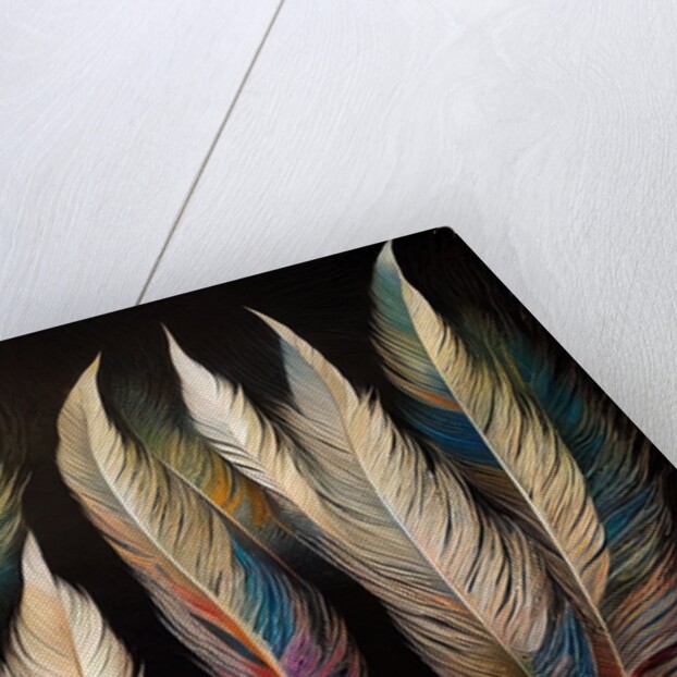 Feathers by Anonymous