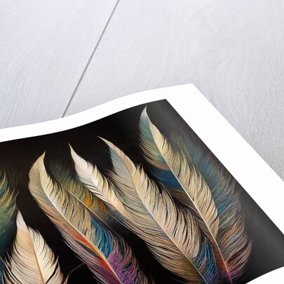 Feathers by Anonymous