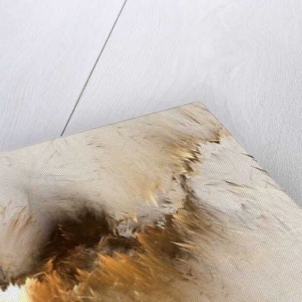 Abstract XIII by Anonymous