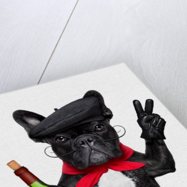 Dog II by Anonymous
