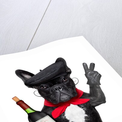 Dog II by Anonymous