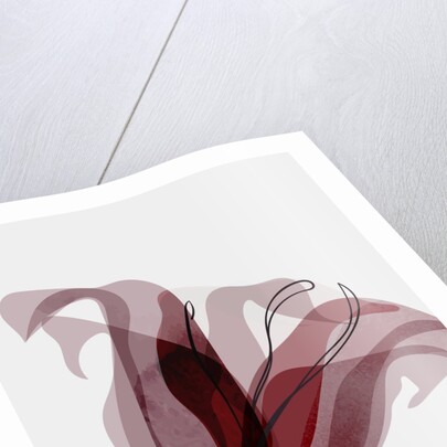 Abstract XVII by Anonymous