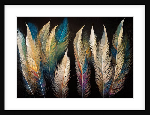 Feathers by Anonymous