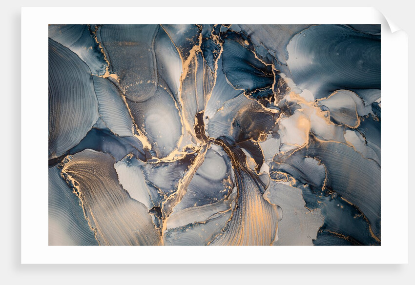 Abstract V by Anonymous