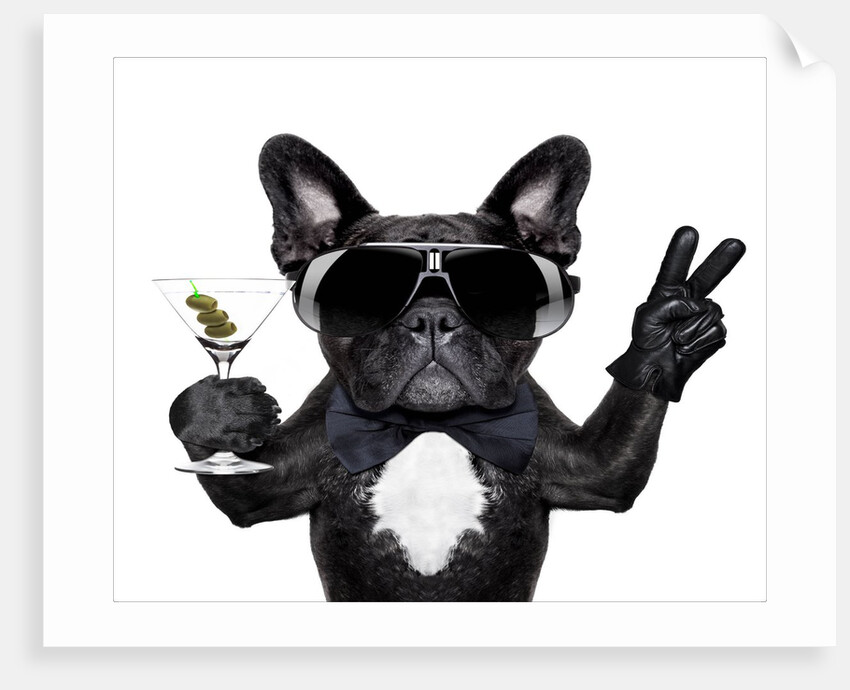 Dog I by Anonymous