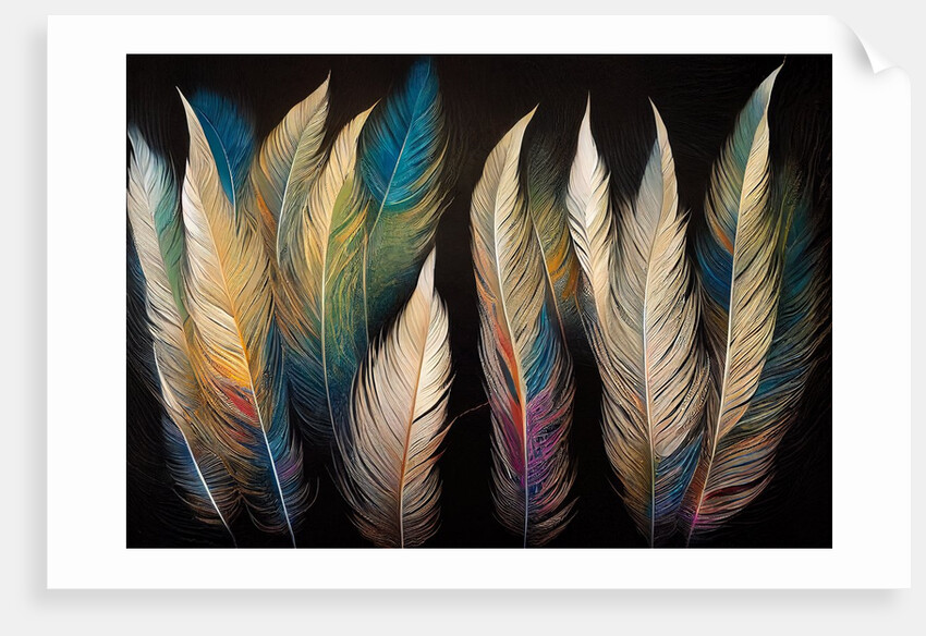 Feathers by Anonymous