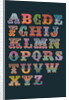 Alphabet (Dark background) by Magnolia Box