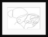 Maternal by Anonymous
