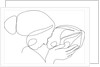 Maternal by Anonymous