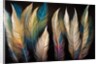 Feathers by Anonymous