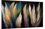 Feathers by Anonymous