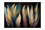 Feathers by Anonymous