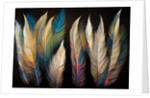 Feathers by Anonymous