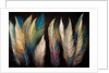 Feathers by Anonymous