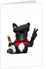 Dog II by Anonymous
