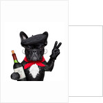 Dog II by Anonymous