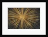 Burst by Anonymous