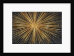 Burst by Anonymous